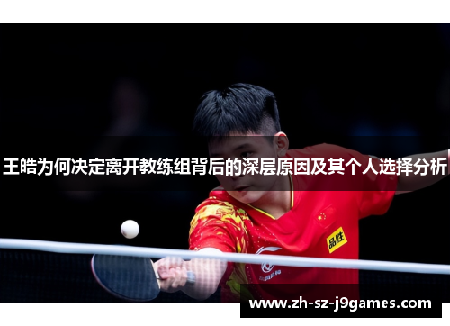王皓为何决定离开教练组背后的深层原因及其个人选择分析