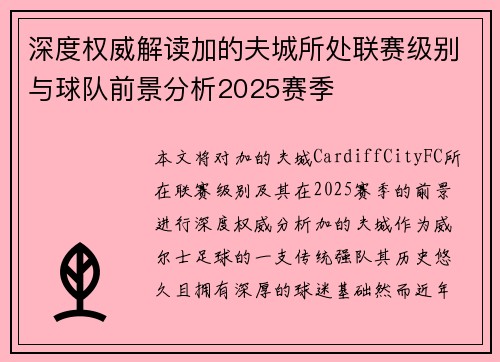 深度权威解读加的夫城所处联赛级别与球队前景分析2025赛季