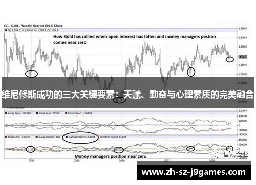 维尼修斯成功的三大关键要素：天赋、勤奋与心理素质的完美融合